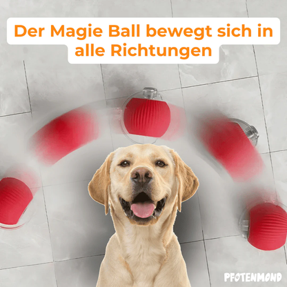 Magie-Ball - Der Bestseller